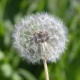hsf's Avatar